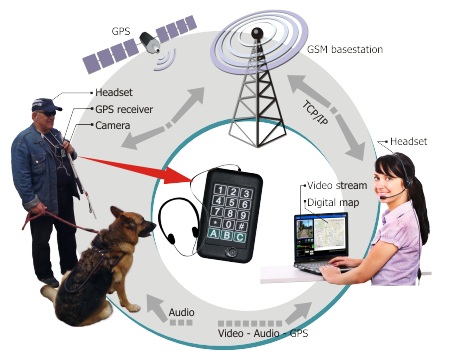 Remote assistance system - scheme