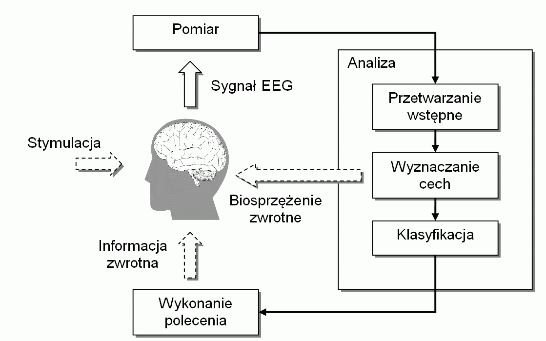 Autor: M.Byczuk